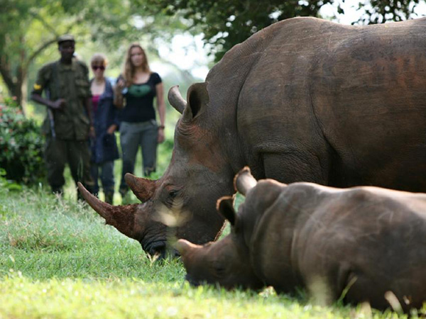 2 DAYS: ZIWA RHINO SANCTUARY UGANDA ADVENTURE TOUR